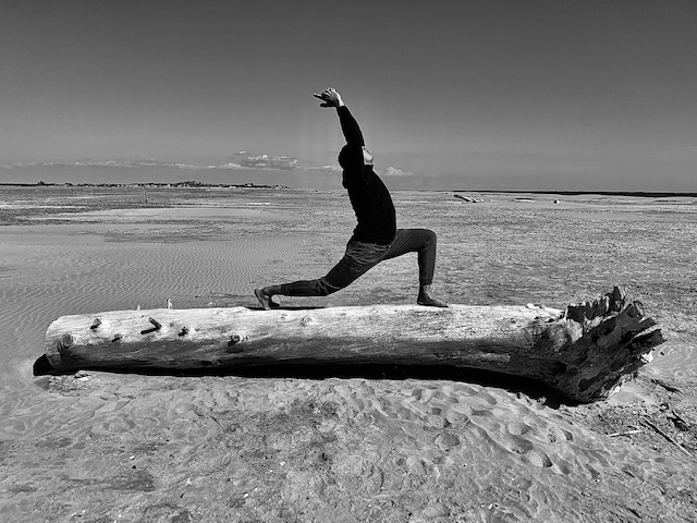 CA-Yoga CA-Yoga